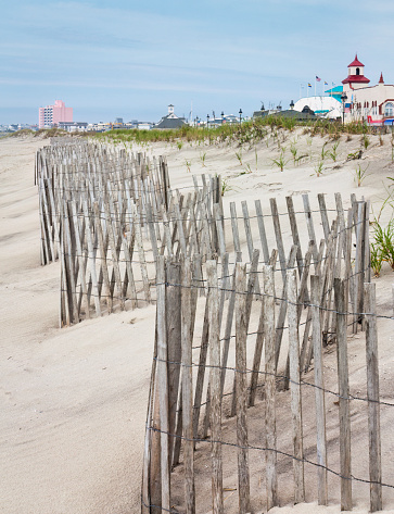 Photo shows fencing on the dunes in Ocean City, New Jersey.