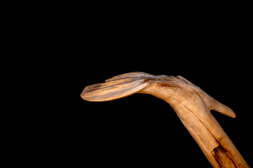 Driftwood carved by water in the shape of a bird on black background