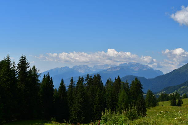 istock Beautiful landscape around Proveis in Southtyrol 1411277955