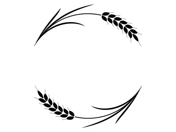 stockillustraties, clipart, cartoons en iconen met wheat frame - wheat