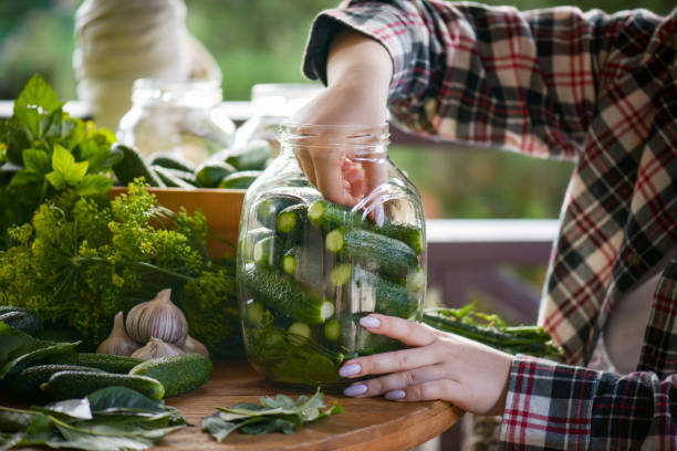 young woman makes homemade Pickled cucumber preparations stock photo