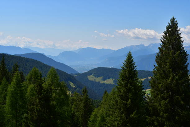 istock Beautiful landscape around Proveis in Southtyrol 1411280662