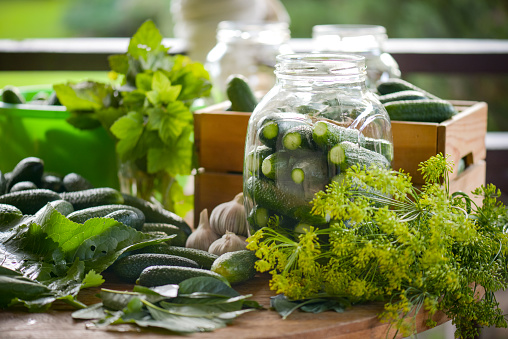 Homemade marinated or pickled cucumbers