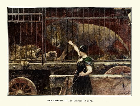 Vintage illustration after the painting by Paul Friedrich Meyerheim, The Lioness in love