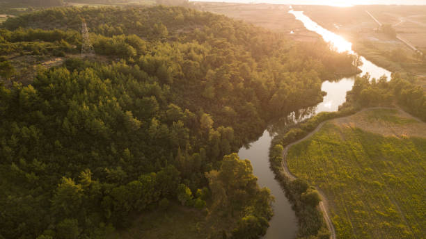 istock river images in nature 1411283410