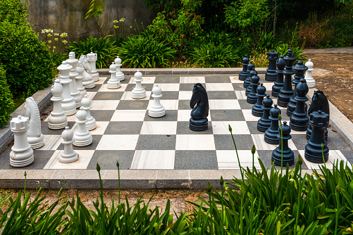 Chess play platform among green plants