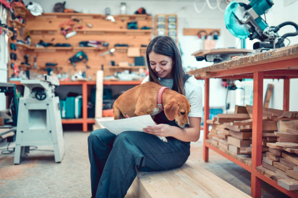 istock Dog Trying To Play With Owner While She's Working On New Interior Design Project 1411284619
