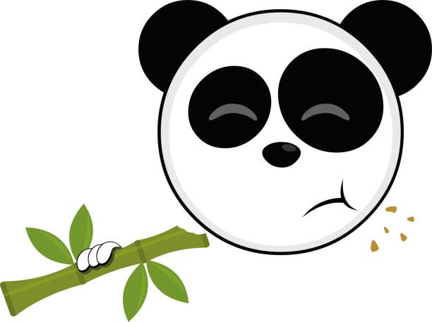vektorkopf panda bär cartoon essen bambus - monochrome black and white eating chinese cuisine stock-grafiken, -clipart, -cartoons und -symbole