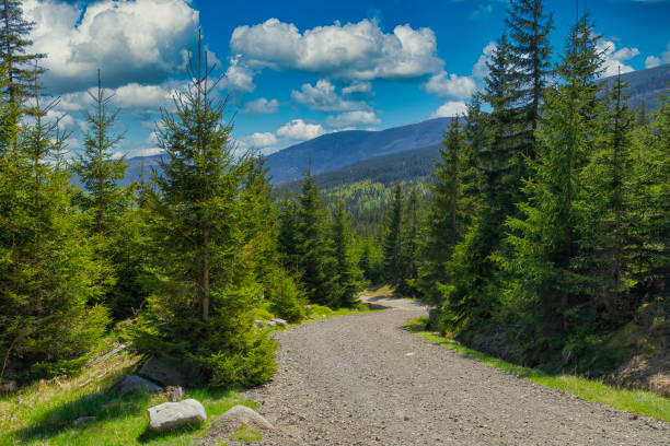 istock Way to Sniezka Mountain 1411292457