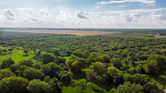 Aerial view of trees and farm land in Texas