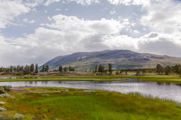 istock Brimiseter and Tessevann, lom municipality in early summer 1411295900