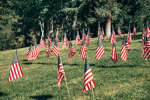 memorial day us flags