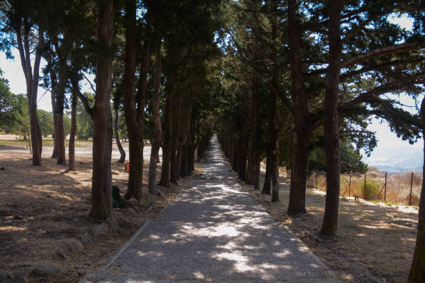 istock Main walk path in Filerimos monastery, Rhodes 1411297609