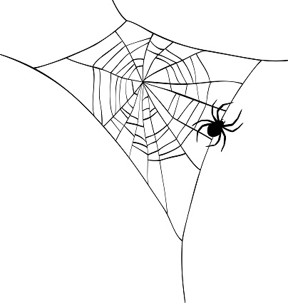 spider web silhouette