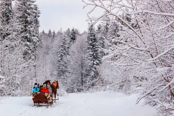 Winter landscape - view of the snowy road with a horse sleigh in the winter mountain forest after snowfall