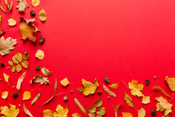 istock Autumn composition. Pattern made of dried leaves and other design accessories on table. Flat lay, top view 1411301794