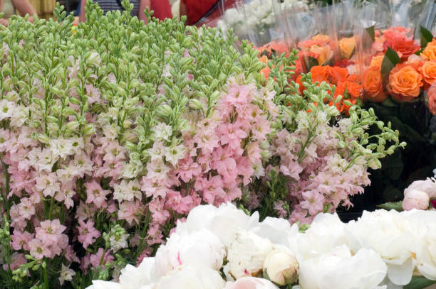 istock Street Market 1411302845