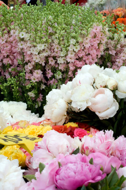 istock Street Market 1411302846