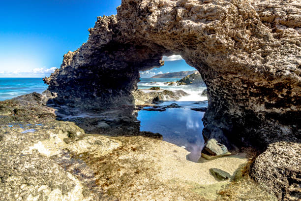 istock Kea'au Beach Park rocky scenes in oahu hawaii 1411303686