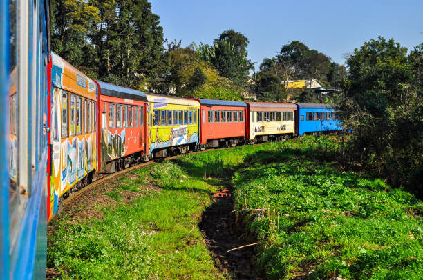 beautiful railway journey between curitiba and morretes - sierra imagens e fotografias de stock