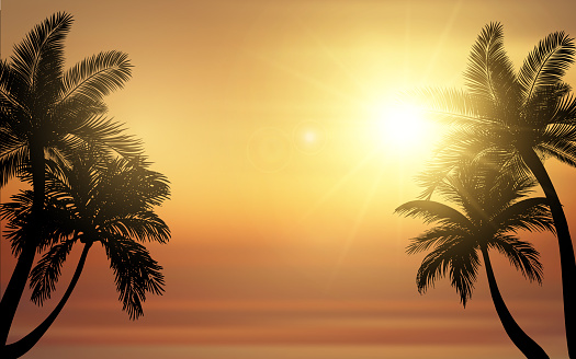 Tropical beach sunset vector illustration. Silhouette of palm trees against a sunset ocean