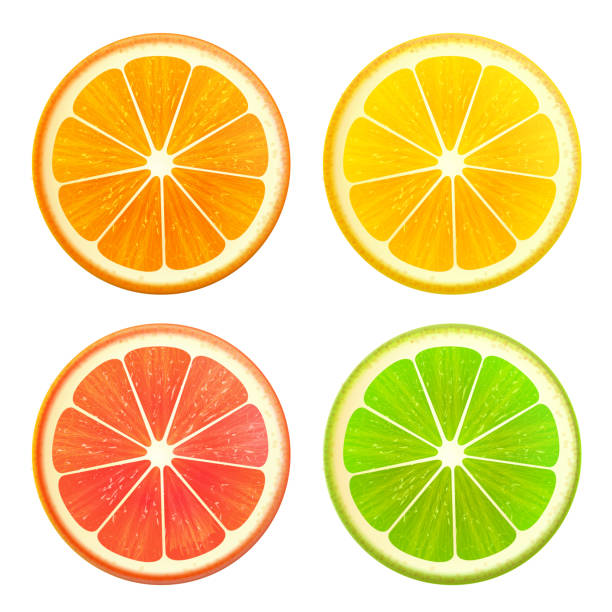 illustrazioni stock, clip art, cartoni animati e icone di tendenza di set di fette di agrumi freschi. arancia pompelmo limone lime vista dall'alto isolato realistico illustrazione vettoriale eps10 - lime ripe fruit citrus fruit