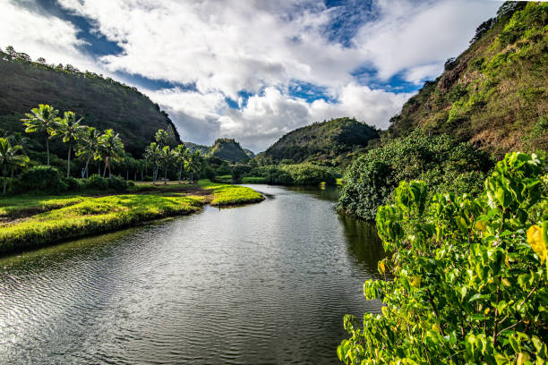 istock waimea canyon state park on a bright sunny day 1411307368