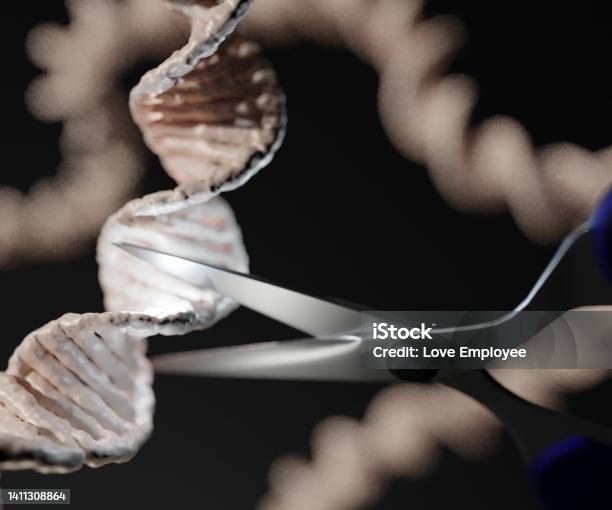 Crispr Is A Technology That Can Be Used To Edit Genes Dna Strand With Scissors Cutting The Helix Stock Photo - Download Image Now