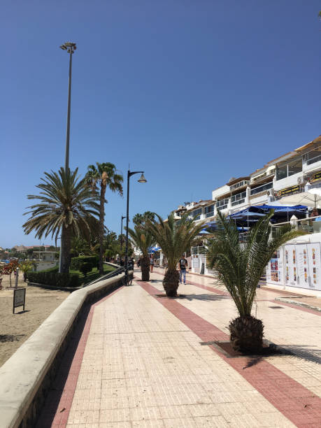 istock Los Cristianos, in Tenerife 1411309670