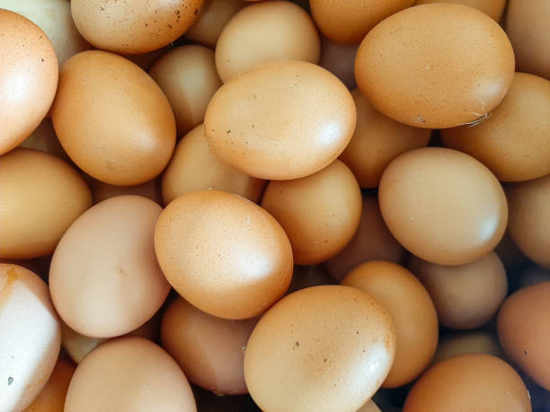 istock raw egg abstract background suitable for chicken farm background 1411318081