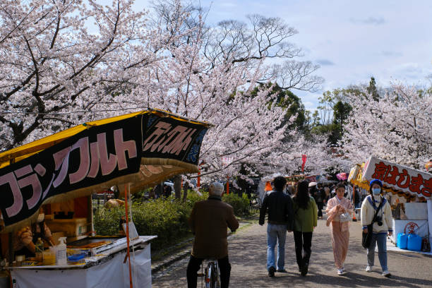 Food stalls in Maruyama Park with cherry blossoms stock photo