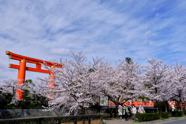 Cherry blossom trees with Heian Shrine gate stock photo