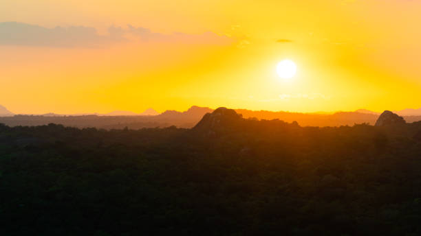 istock Tropical landscape at sunset. Sri Lanka. 1411329409