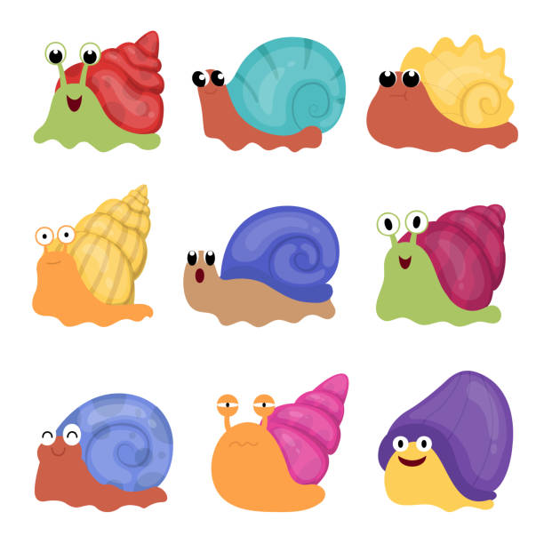 istock Set of cute snail in different color cartoon character 1411331756
