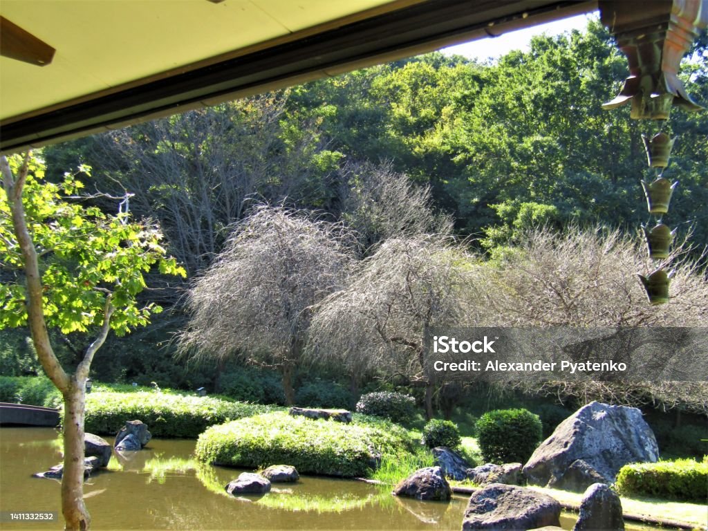 Japan. Nice sunny day in October. Pond at the Park. Pond at the Park. Sano city, Tochigi Prefecture. Art Stock Photo