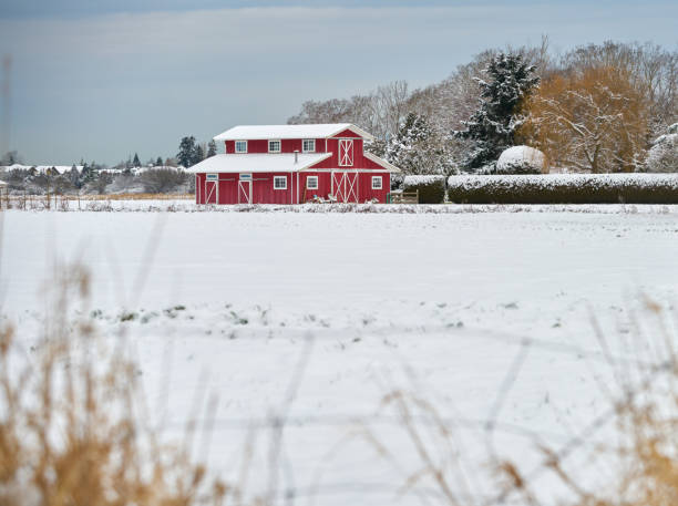 istock Red Barn in Winter Snow 1411333354