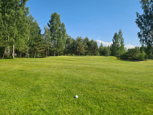istock Golf ball on the green golf course 1411336898