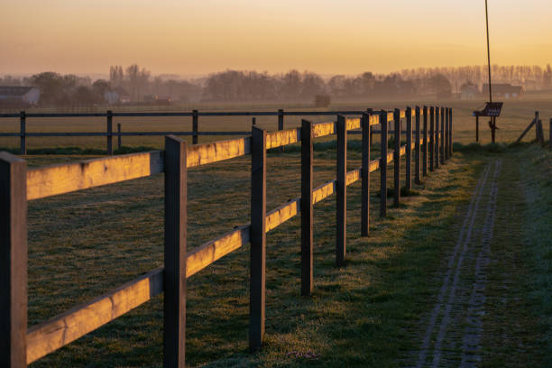 istock Horse meadow with a walking path next to it 1411341171
