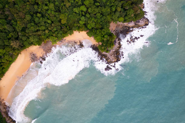 istock Aerial view Top down seashore wave crashing on seashore Beautiful turquoise sea surface in sunny day Good weather day summer background Amazing seascape top view 1411346914