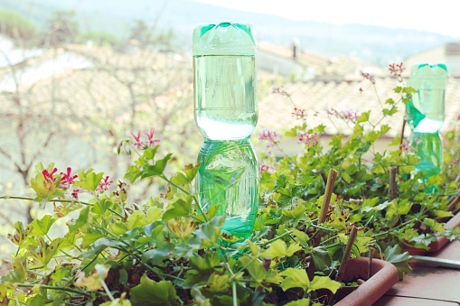 Plastic bottles for watering flowers on the balcony as irrigation system