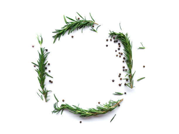 istock pepperand rosemary for cooking isolated on white background 1411354280
