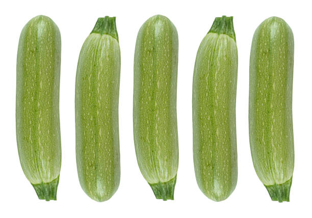 raw green ripe zucchini isolated on white background. zucchini or marrow isolated on white. fresh organic marrow zucchini squash vegetable isolated - zucchini squash marrow squash vegetable imagens e fotografias de stock