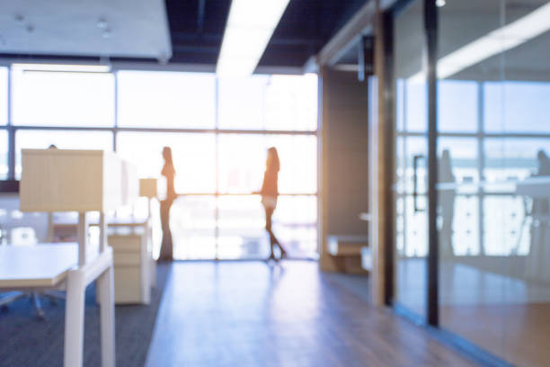 istock businesswoman in modern office 1411356743