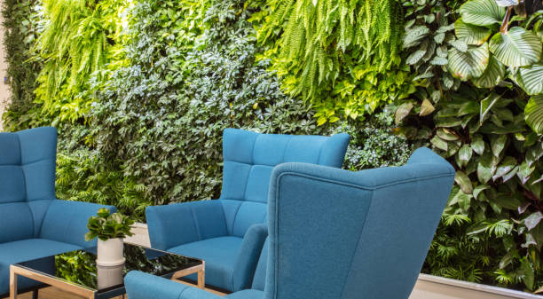 istock Front desk seating area in modern office with comfortable sofa and green plants 1411358205