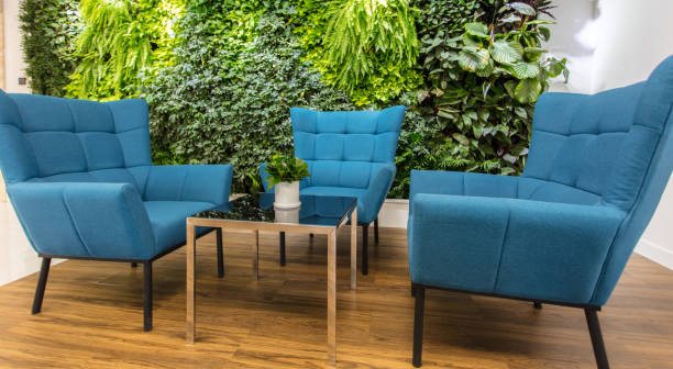 istock Front desk seating area in modern office with comfortable sofa and green plants 1411358213