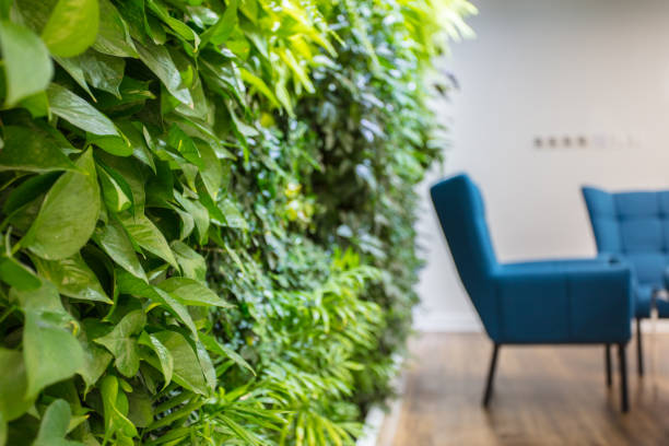 istock Front desk seating area in modern office with comfortable sofa and green plants 1411358235