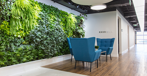Front desk seating area in modern office with comfortable sofa and green plants