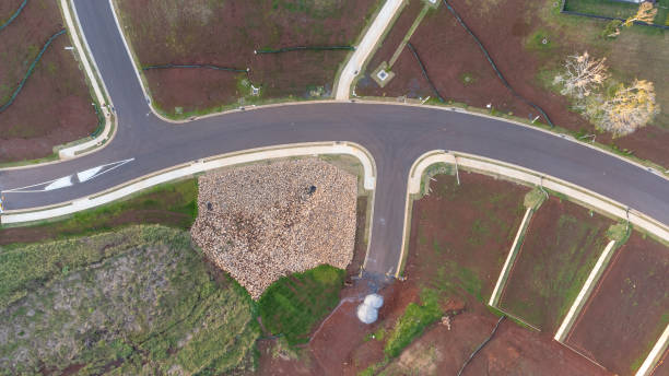 istock Aerial view of a housing development under construction 1411358354