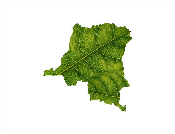istock Congo map made of green leaves, concept ecology Map green leaf on soil background 1411364240
