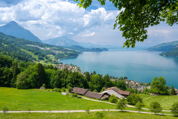 vista sul lago di thun e sulle alpi in svizzera - lake thun swiss culture switzerland berne foto e immagini stock